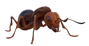 Red Ant Queen