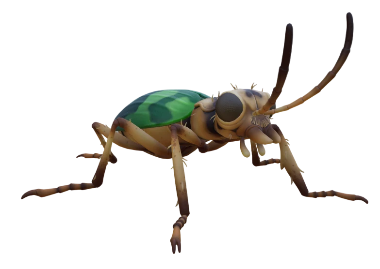 Bombardier Beetle Grounded Wiki Fandom