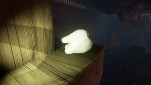 Milk Molar Undershed1