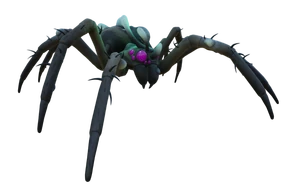 Infected Wolf Spider