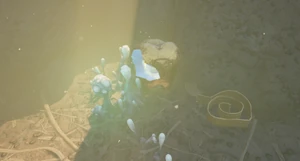 Mega Milk Molar Haze2