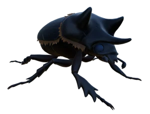 Black Ox Beetle