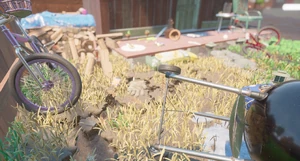 Shed Surroundings Picture