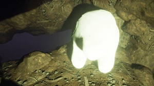 Milk Molar Widow Cave