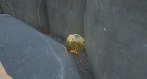 Mega Milk Molar Flower Bed