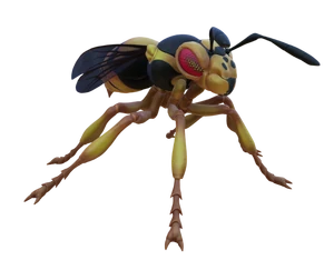 Wasp