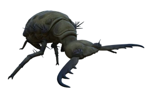Antlion