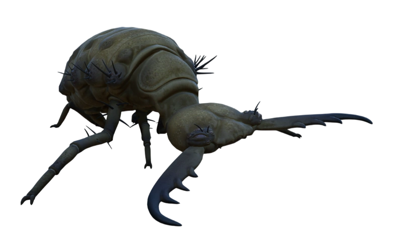 Antlion | Grounded Wiki | Fandom