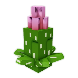 Blooming Cactus seed