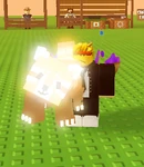 Red Panda Shocked.png (140 KB) Shocked