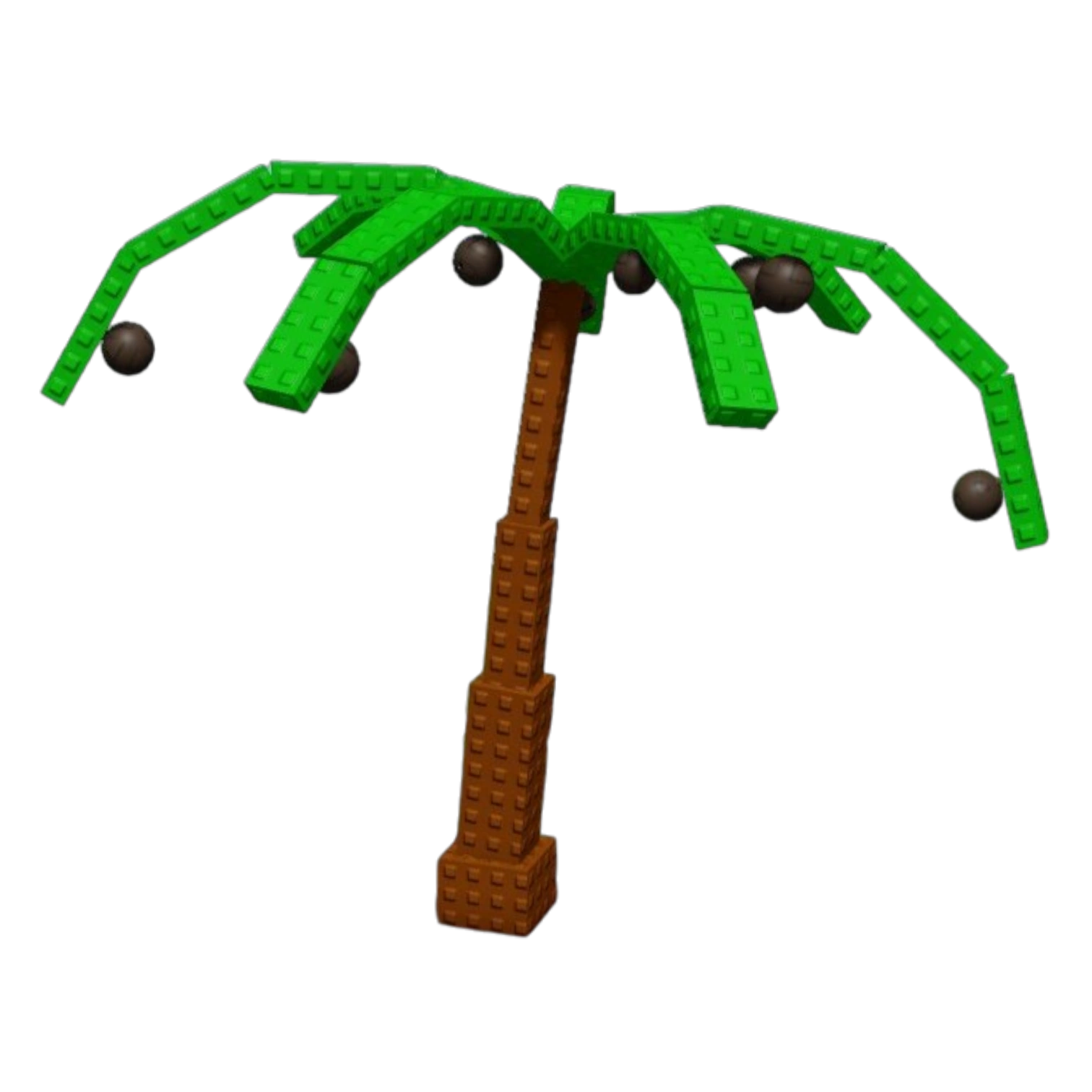 Coconut