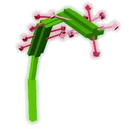 Sundew