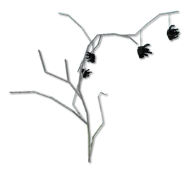 SpiderVineCrop