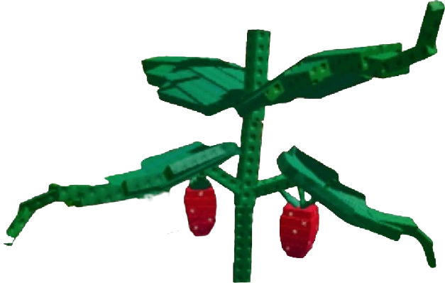 Elder Strawberry