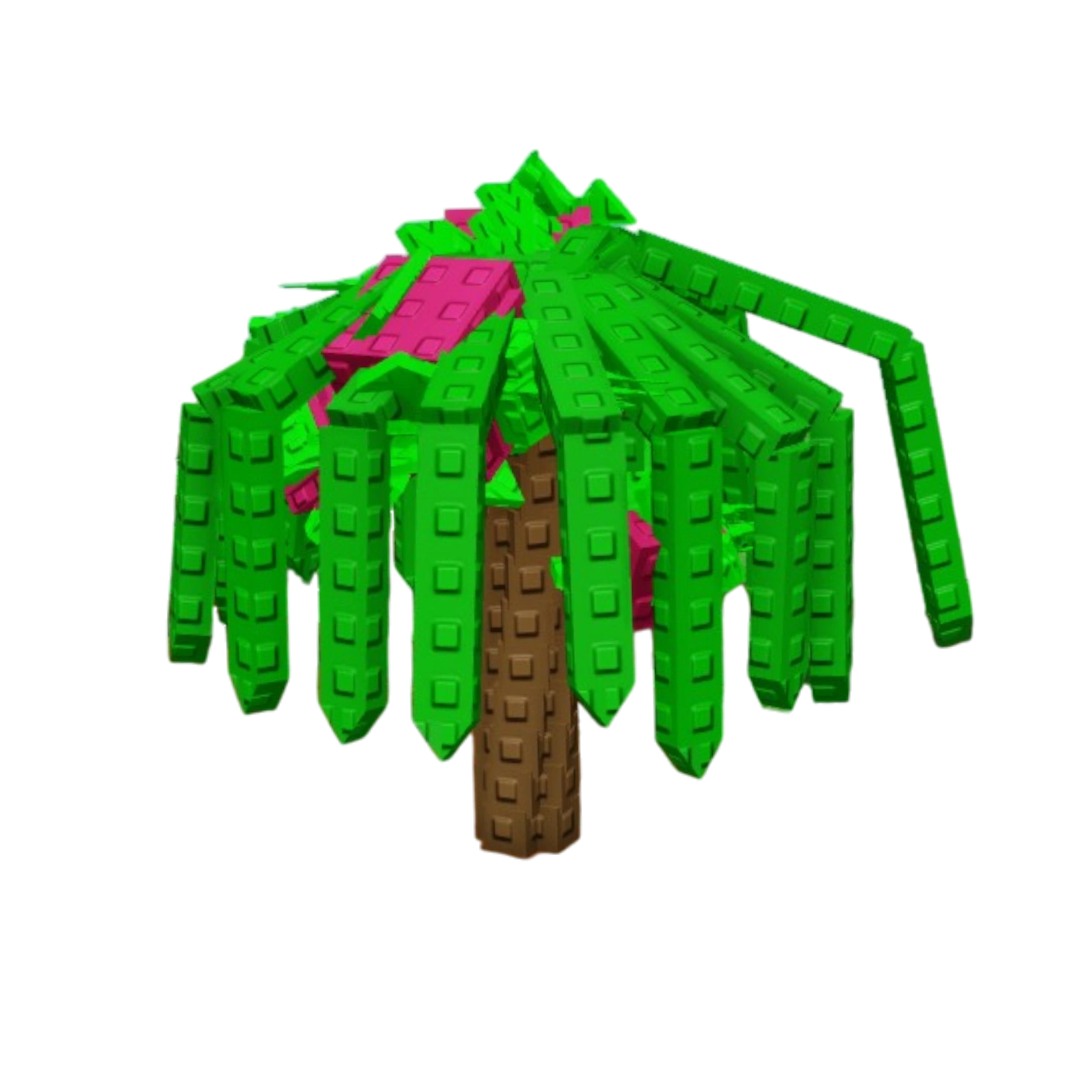 Dragon Fruit