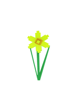 Daffodil