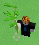 Parsley Blight.png (102 KB) Blight