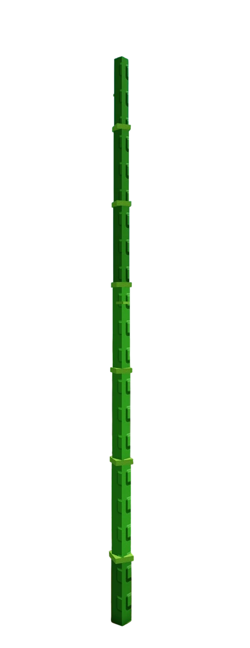 Bamboo