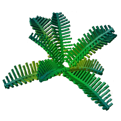 Firefly Fern
