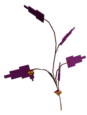 Twisted Tangle