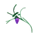 Grape (crop) (281 KB) Grape