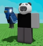 Robin Inverted.png (129 KB) Inverted