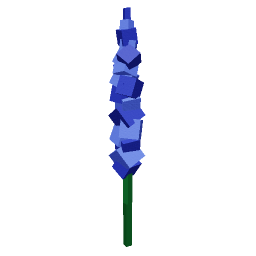 Delphinium
