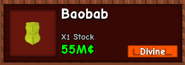 The Baobab Seed in stock.