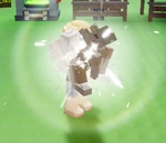 Fortune Squirrel IronSkin.png (183 KB) IronSkin