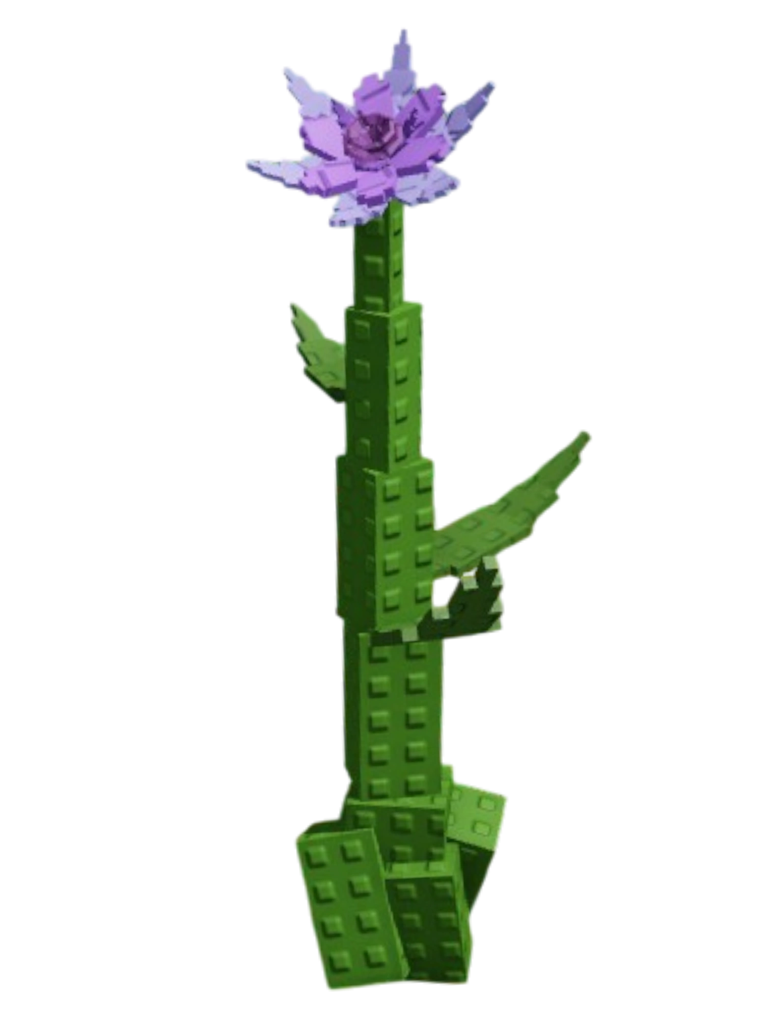 Purple Dahlia