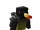 Oxpecker