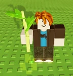 Parsley Bloom.png (288 KB) Bloom