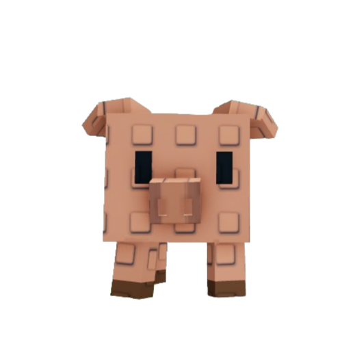 Pig