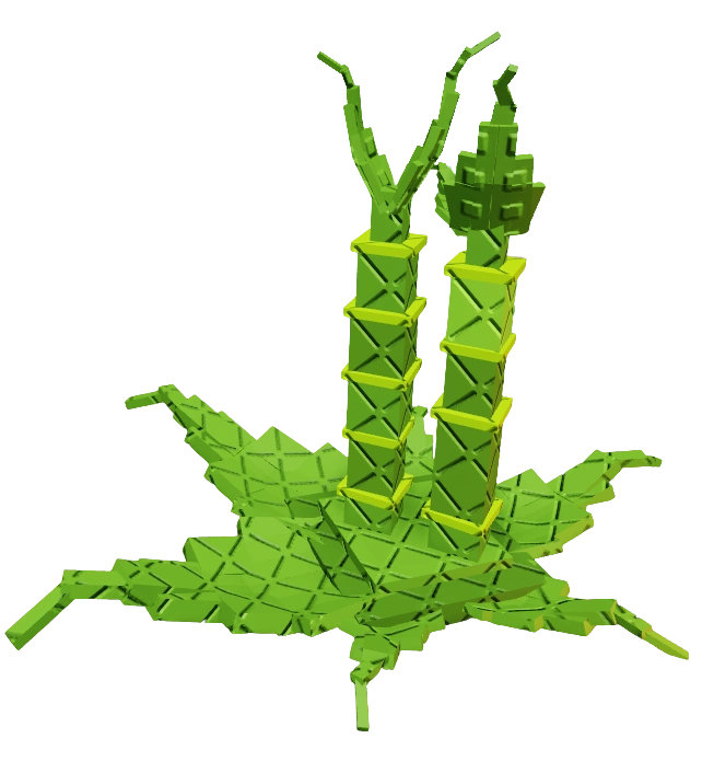 Lucky Bamboo