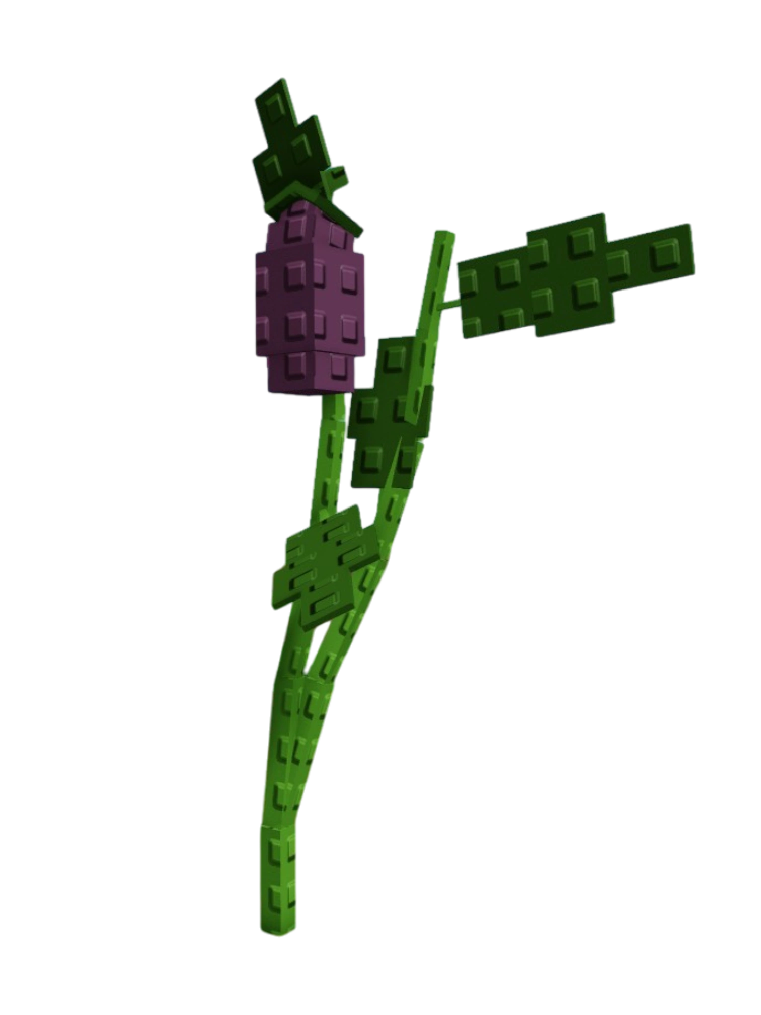 Eggplant