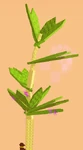 Parsley Rot.png (69 KB) Rot