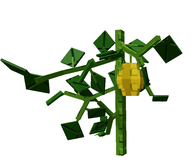 Starfruit