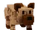 Hyena