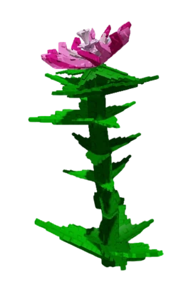 PinksideDandelionCropK