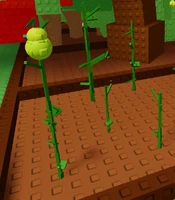 Group of pears.png (340 KB) A group of pears growing in groups. Credits to Heldio_Me.