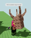 Fall