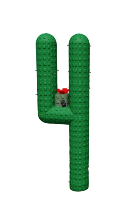 Cactus