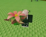 Acidic