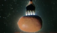 The reference image to the Glass Kiwi.