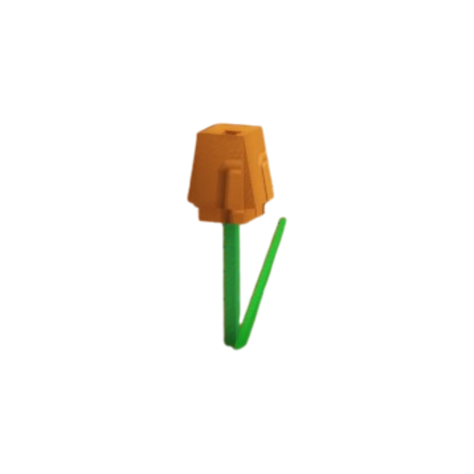 Orange Tulip