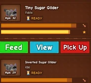 Sugar glider ability glitch.png (80 KB) Sugar Glider ability glitch where the cooldown is permanently stuck on "READY" without the sugar gliders performing their ability.