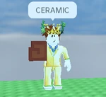 Maple Resin Ceramic.png (37 KB) Ceramic