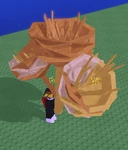 Arid