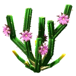 ThornspireCrop