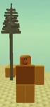 Clay